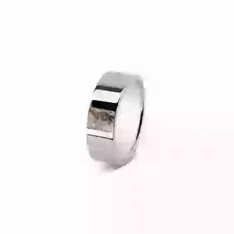 RS 008 Steel